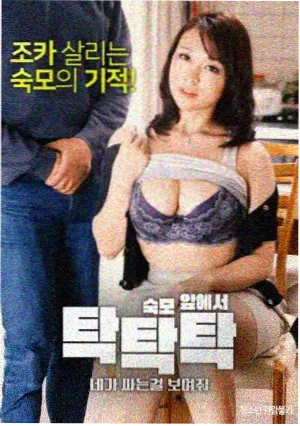南方有雾剧集海报